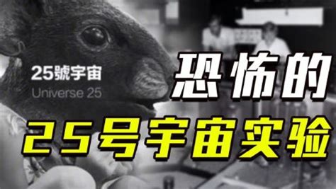 老鼠群|如何评价25号宇宙老鼠乌托邦实验？